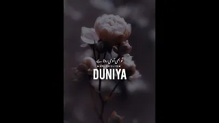 Duniya bhi ajeeb hai bayan whatsapp status😔||maulana tariq jameel bayan status🌏||🦋🥀#shorts