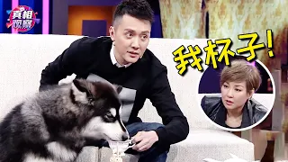 冯绍峰带爱犬上节目，爱犬当众舔茶杯喝水，李静眼神亮了！【明星零距离】