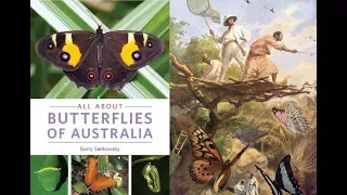 The Wonders of Butterflies