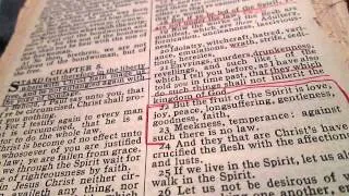 Galatians Chapter 5, The Fruits of the Spirit,  Holy Bible, King James, READING TOGETHER