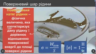 Урок 68 10 клас Поверхневий натяг рідини. Змочування. Капілярні явища. ТЕОРІЯ