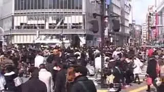 Tokyo Bike Messengers