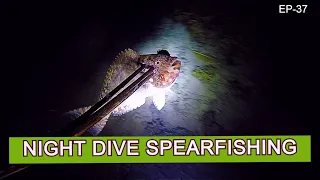 Night Dive Spearfishing in the Marshall Islands [ep37] S3/Part-7 PARADISE ISLAND