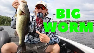 I ALMOST Had 25LBS(Summer Worm Bass Fishing)