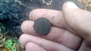поиск монет в лесу,коп с minelab x-terra 705