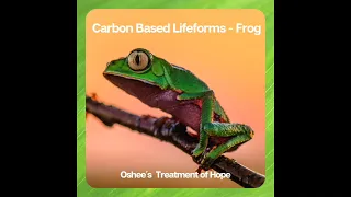 Carbon Based Lifeforms - Frog (Oshee´s Treatment of Hope remix) preview