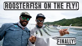 Roosterfish on the Fly - Finally!