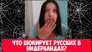 Что ШОКИРУЕТ русских в Нидерландах?