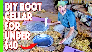 Our Simple Inexpensive Root Cellar Build