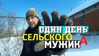 ЧТО ДЕЛАЕТ ГОРОДСКОЙ МУЖИК В ДЕРЕВНЕ?новый ХРЯК!как определить пол гусей?