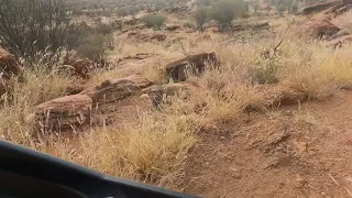 Alice Springs EMTB Carls Track