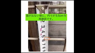 【DIY】高さ2mの屋外ミニキャットケージを安く1500円で（メッシュフェンス活用） #shorts