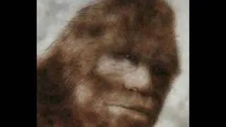 sasquatch