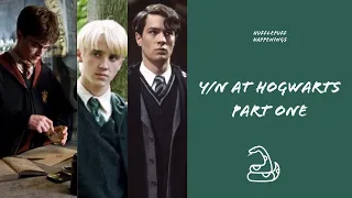 Y/n at Hogwarts - Part 1