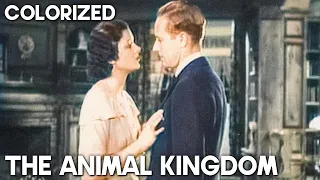 The Animal Kingdom | COLORIZED | Ann Harding | Classic Romantic Movie