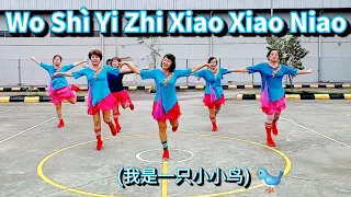 Wo Shì Yi Zhi Xiao Xiao Niao(我是一只小小鸟) Line Dance, Choreo:  Molly Yeoh, MY  (April  2024)