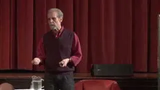 Daniel Goleman: Focus, Flow, and Frazzle