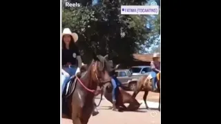 Cavalo cai e morre durante cavalgada no interior do Tocantins