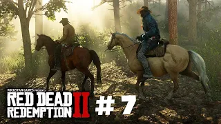 Прохождение red dead redemption2/Часть #7/Нашли золото Джека Холла/RDR 2