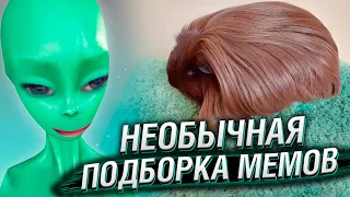 НЕОБЫЧНАЯ ПОДБОРКА МЕМОВ V228 | РЕАКЦИЯ ПРИШЕЛЬЦА