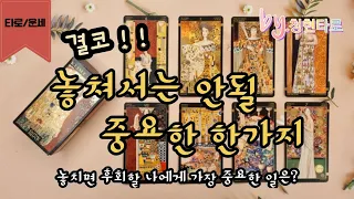 (타로/운세)결코 놓쳐서는 안될 중요한 한가지