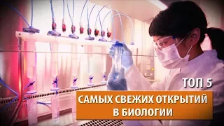 ТОП - 5 САМЫХ СВЕЖИХ НАУЧНЫХ ОТКРЫТИЙ В БИОЛОГИИ (FULL VIDEO)