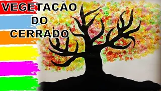 VEGETAÇÃO DO CERRADO