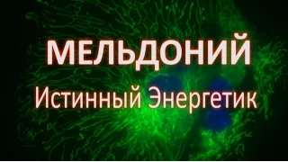 Мельдоний: Истинный Энергетик