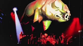 Pink Floyd @ Live in Boston 1977 (Animals + Wish You Where Here) ROIO