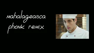 mahalageasca phonk remix#кухня #огузок