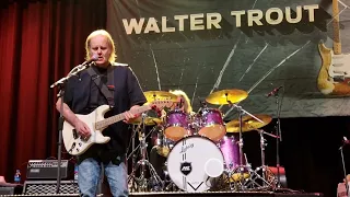 Walter Trout - I can tell. 013. 12 mei 2024