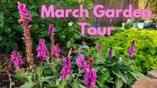 March 2024 Backyard Garden Tour | life is in the garden! | Texas Gulf Coast Zone 9b