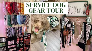 Service Dog GEAR TOUR 2022 | Etsy, Instragam, Amazon, and more *affordable* our necessities