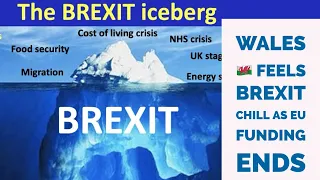 Empty #Brexit Promises, Angry Farmers BUT Who Is To Blame??? 🚜 🏴󠁧󠁢󠁷󠁬󠁳󠁿