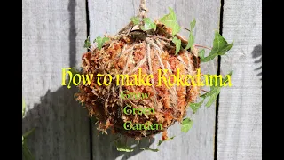 How to make a Kokedama plant hanger