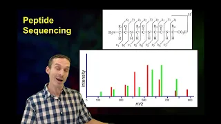 Top down vs bottom up proteomics