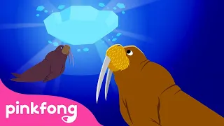 Walrus | Series Binatang Laut | Lagu Anak pendidikan | Pinkfong & Baby Shark