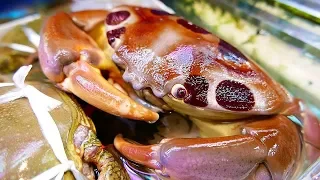 ALIEN CRAB|| THE MOST EXOTIC CUISINE|| GIANT COCONUT CRAB || JAPANESE STREET FOOD