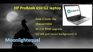 HP ProBook 650 G2 - disassemble for M.2 and RAM upgrade or battery replacement