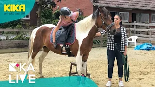 KiKA LIVE - Jess beim Mustang Makeover, Tag 2 | Mehr auf KiKA.de