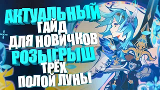 Самый актуальный гайд для новичков | Genshin Impact 3.8