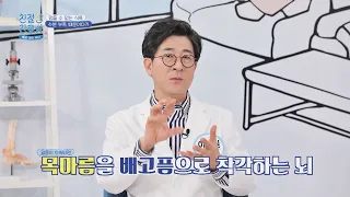 목마름을 배고픔으로 착각😢 수분 부족이 식욕을 유발하는 이유 친절한 진료실(hello my doctor) 89회 | JTBC 220411 방송