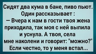 Как у Кума Жена Была Гулящей! Сборник Свежих Анекдотов! Юмор!