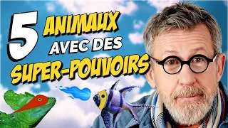 5 animaux avec des SUPER-POUVOIRS 🦸 | TOP 5