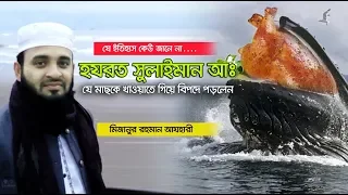 হযরত সুলাইমান (আঃ) সারা বিশ্বের  প্রাণী ও মানুষকে খাওয়াতে গিয়ে যে বিপদে পড়লেন। Mizanur rahman azhari