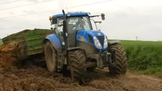 New Holland T6080 Wtopa przy wożeniu obornika