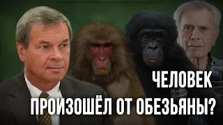 Человек произошёл от обезьяны? Анатолий Клёсов