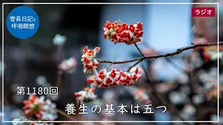 第1180回「養生の基本は五つ」2024/3/31【毎日の管長日記と呼吸瞑想】｜ 臨済宗円覚寺派管長 横田南嶺老師