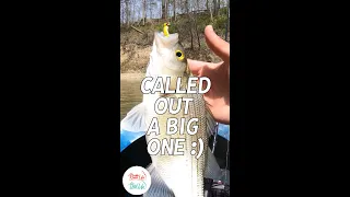 I Called Out A Big White Bass