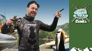 How to start spearfishing in the UK